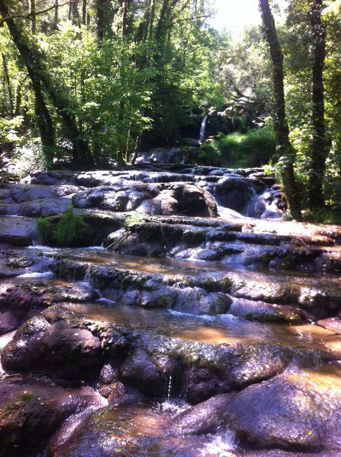 Les Trois Cloches Bed and Breakfast Baume-les-Messieurs Esterno foto